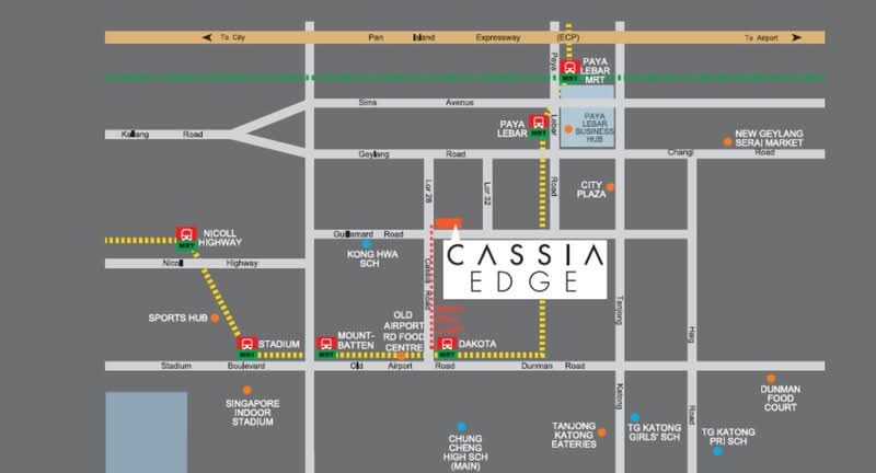 Cassia Edge — photo 8