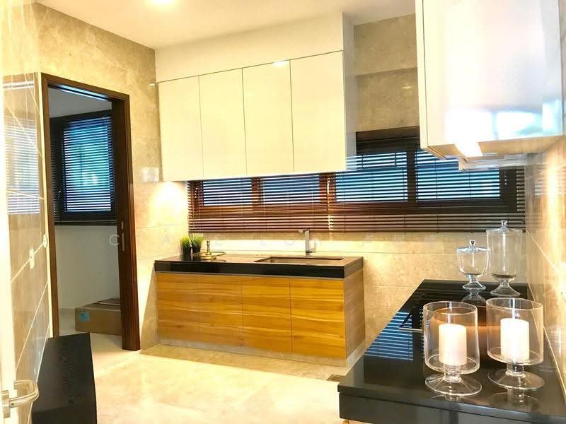 Modern Lornie Road Detached House to rent — photo 10
