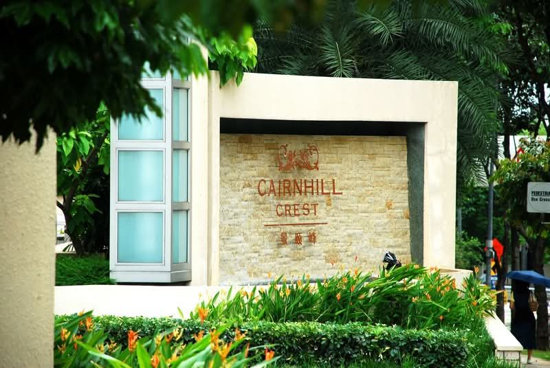 Cairnhill Crest — photo 19