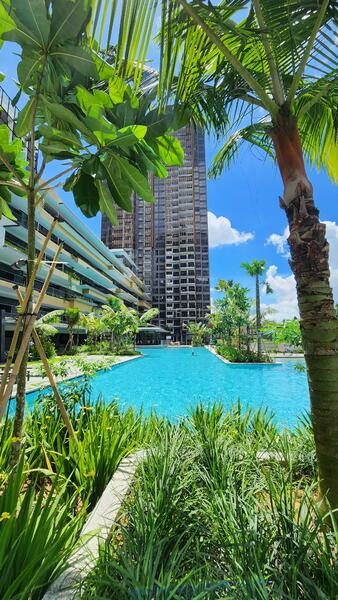 Midwood — photo 15