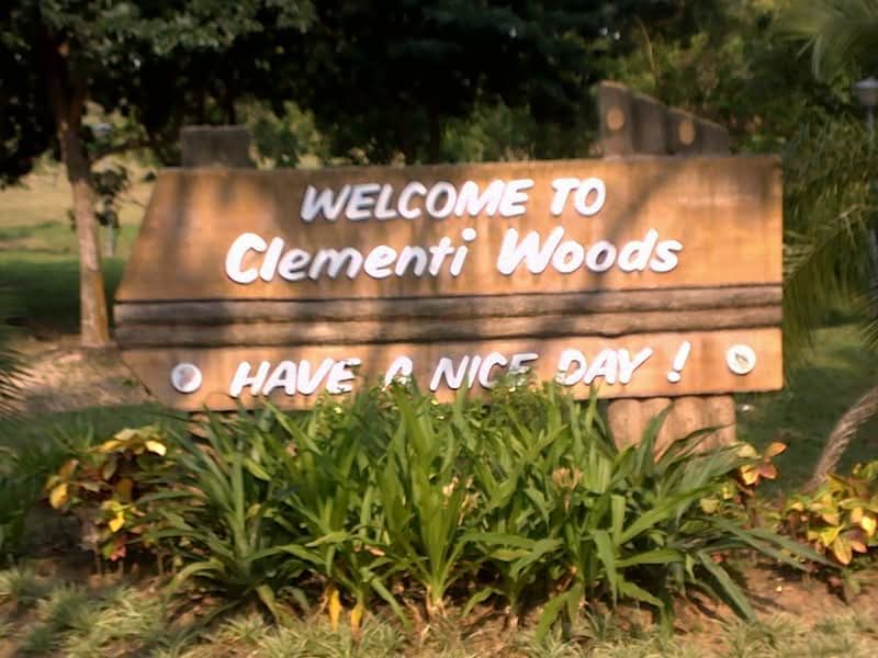 ClementiWoods Condominium — photo 16