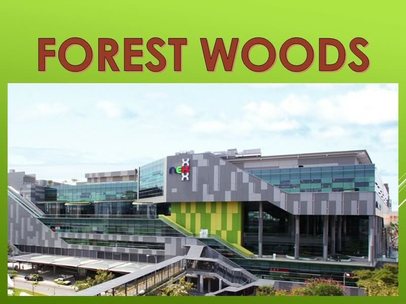 Forest Woods — photo 10