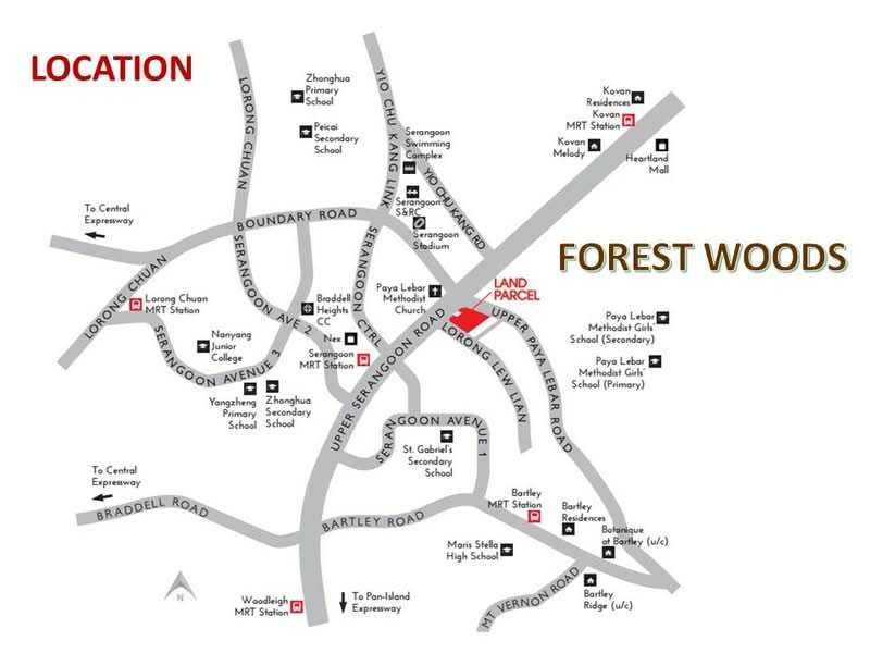 Forest Woods — photo 12