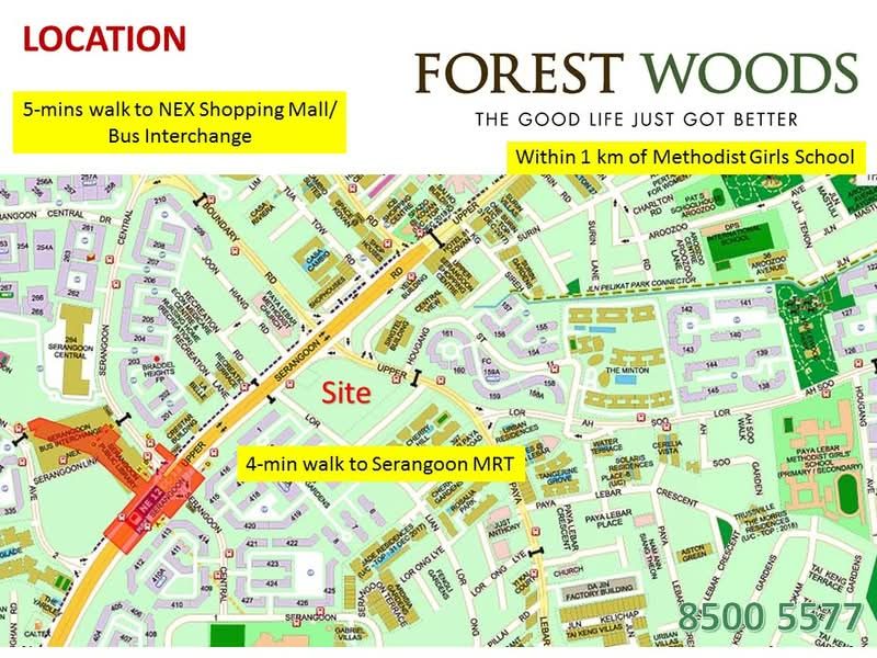 Forest Woods — photo 14