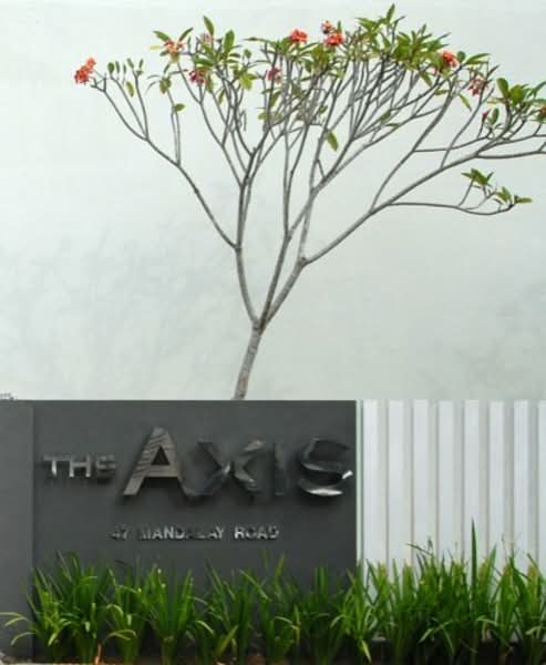 The Axis — photo 24