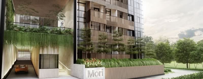 Mori — photo 8