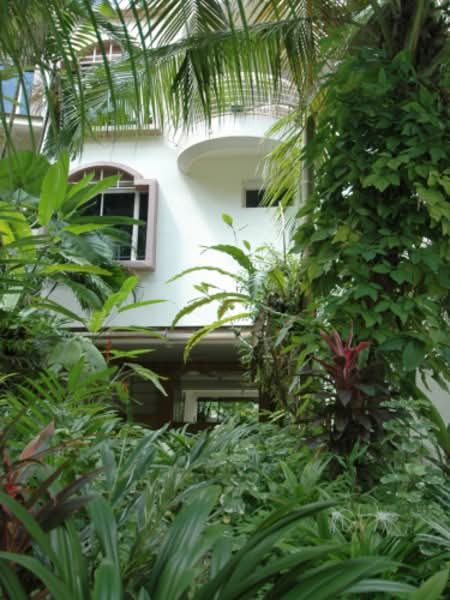 Kheam Hock Gardens — photo 8