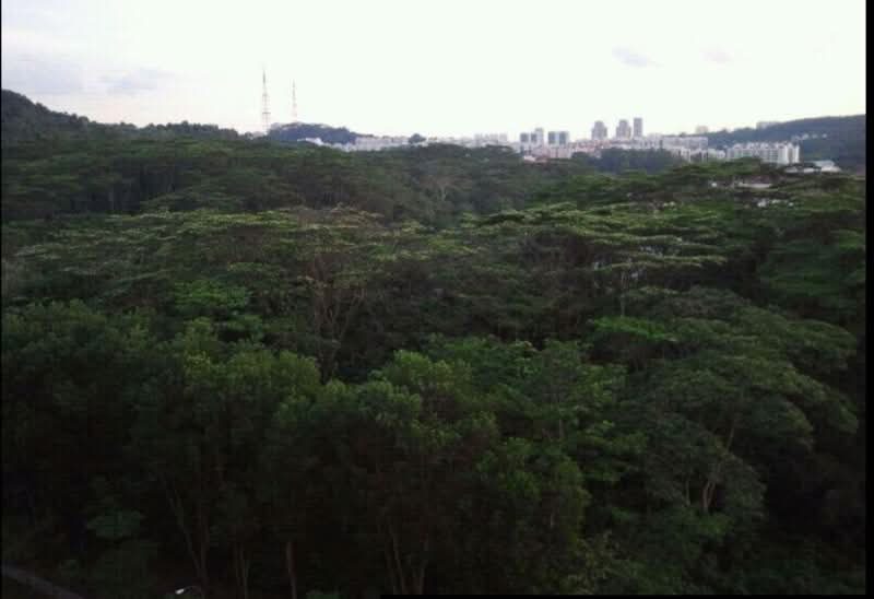 Eco Sanctuary — photo 20