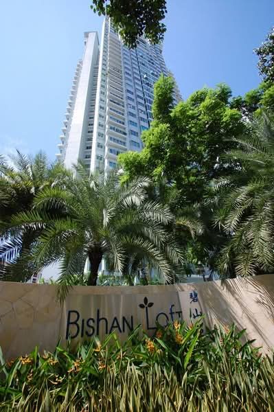 Bishan Loft — photo 5