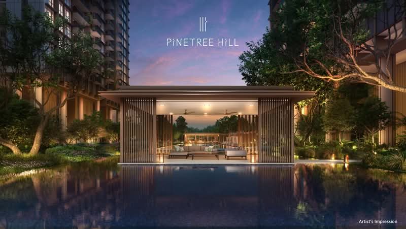 Pinetree Hill — photo 7