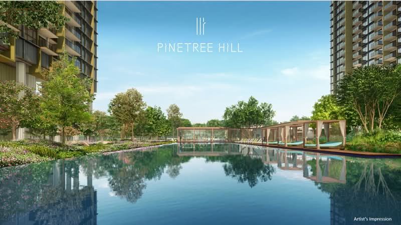 Pinetree Hill — photo 11