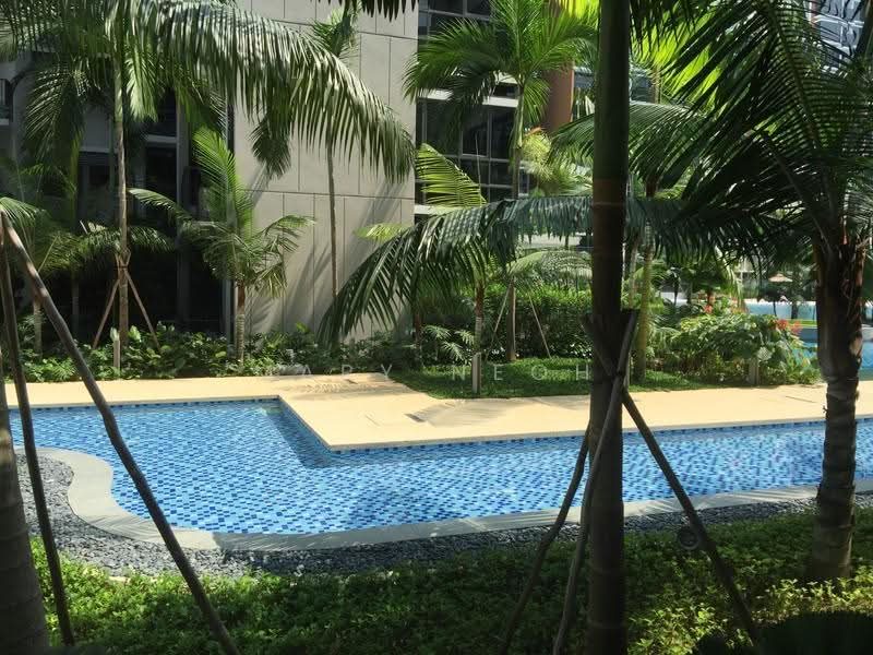 Coco Palms — photo 14