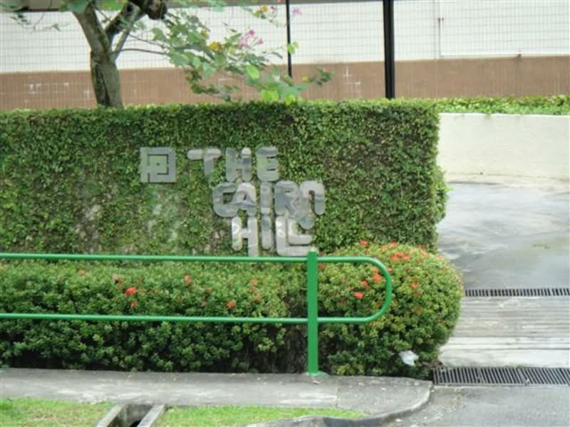 The Cairnhill — photo 16